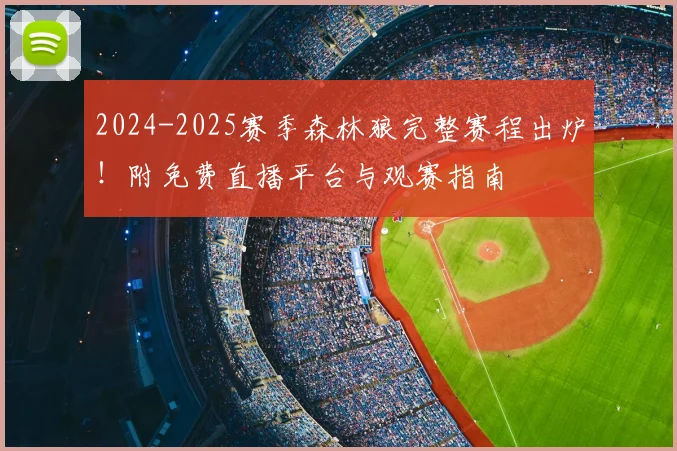 2024-2025赛季森林狼完整赛程出炉！附免费直播平台与观赛指南