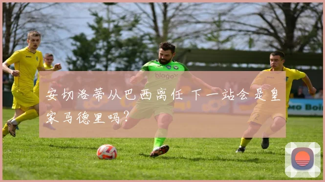 安切洛蒂从巴西离任 下一站会是皇家马德里吗?