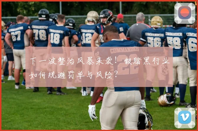 下一波整治风暴来袭！假赌黑行业如何规避罚单与风险？