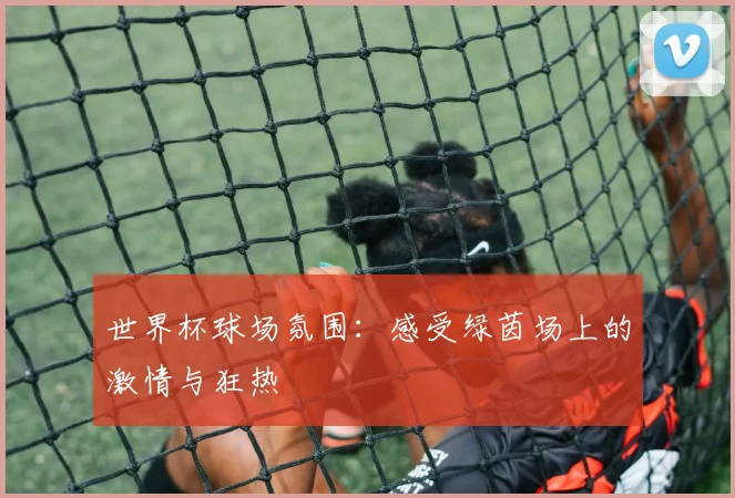 世界杯球场氛围：感受绿茵场上的激情与狂热